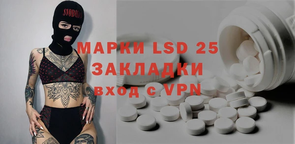 spice Каменка