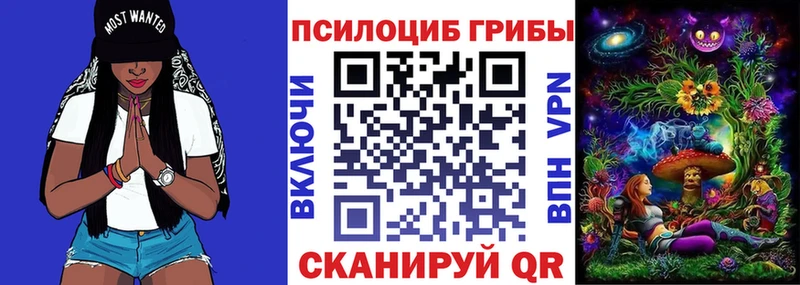 Галлюциногенные грибы Cubensis Кириши